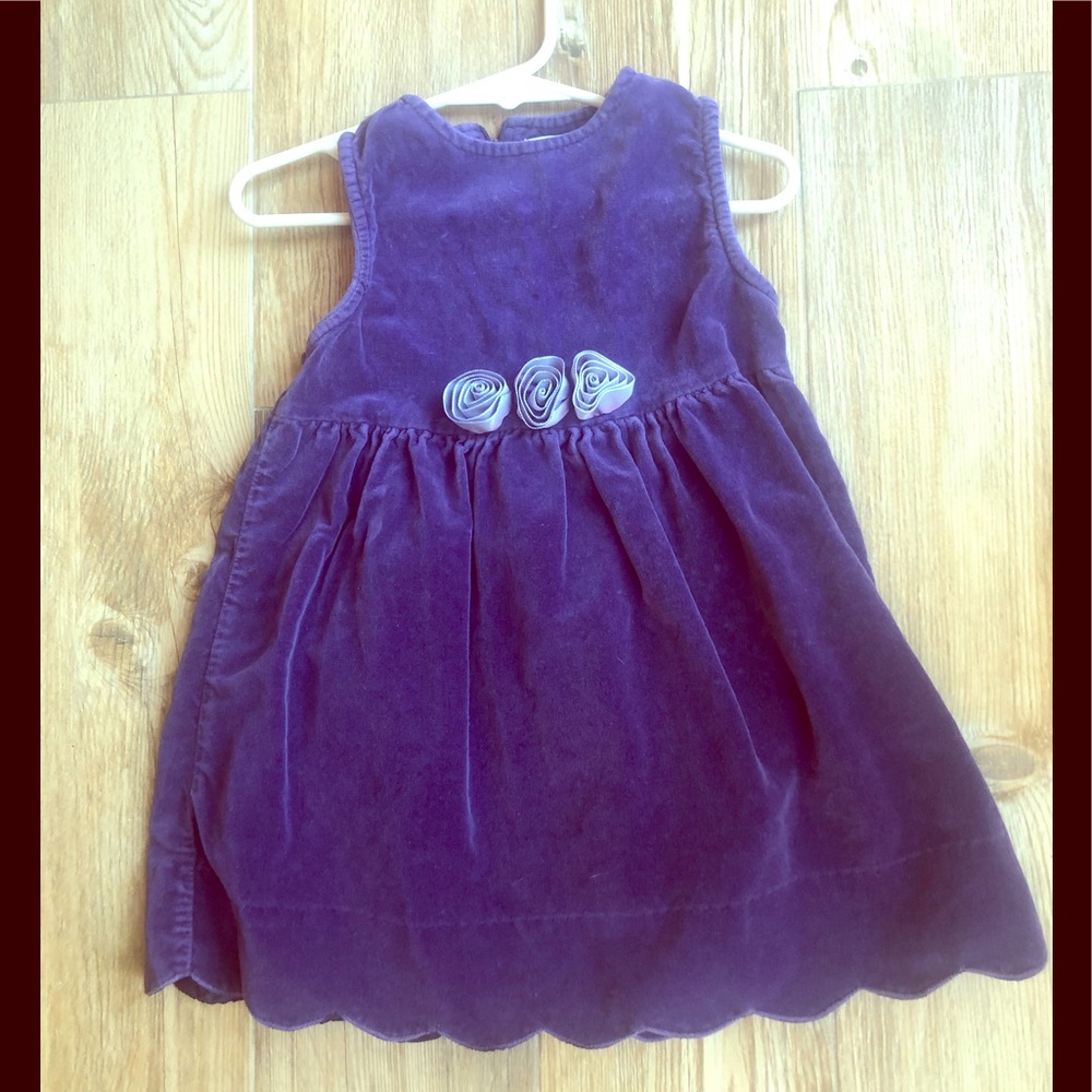 2T Girl Gymboree purple velvet teen dress rosettes